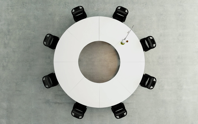 Professional Meeting Document